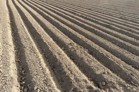	Furrows.の写真素材