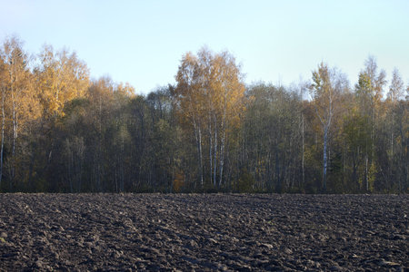 Plwed field.の写真素材