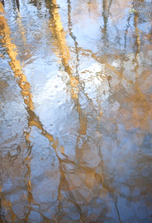 Reflection.の写真素材