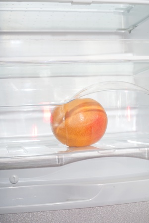 Grapefruit in fridge.の写真素材