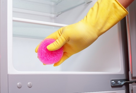 Hand cleaning refrigerator.の写真素材