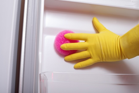 Hand cleaning refrigerator.の写真素材