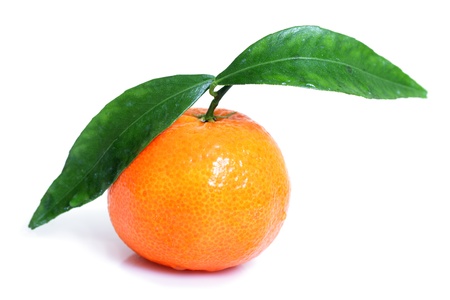 Mandarin.の写真素材