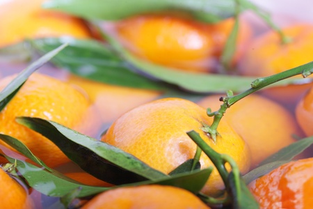 Mandarins.の写真素材