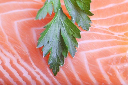 Parsley on salmon fillet.の写真素材