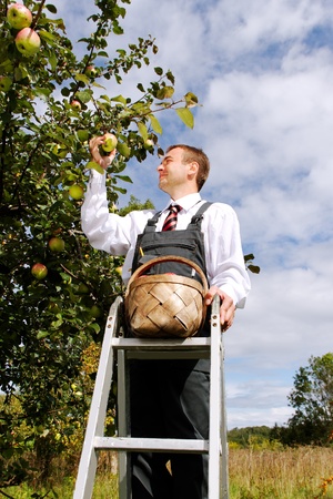 Young man harvesting apples.の写真素材