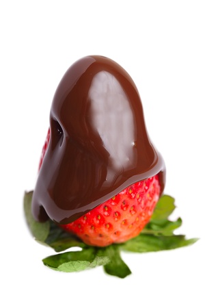 Chocolate strawberry on white.の写真素材