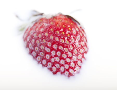 Red strawberry float in milk.の写真素材
