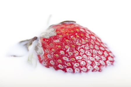 Red strawberry float in milk.の写真素材