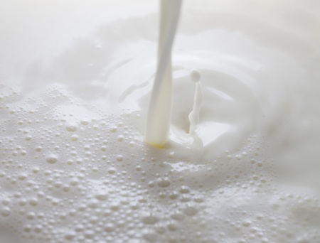 Milk splash on white background.の写真素材