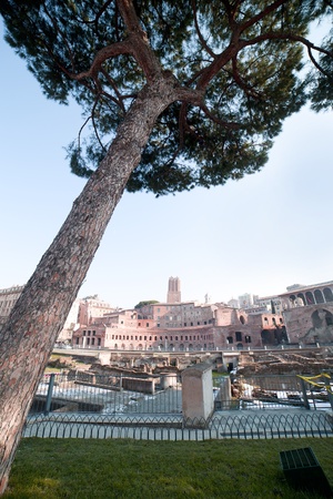Forum Traiani ruins, Rome, Italy.のeditorial素材