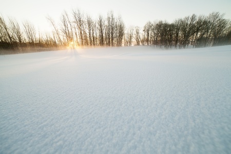 Sunrise in cold winter morning の写真素材