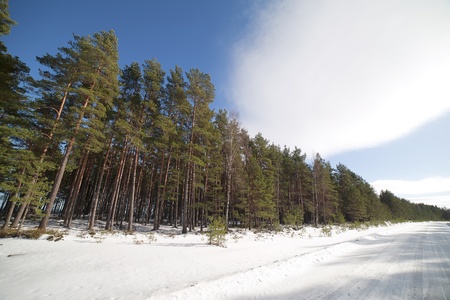 Rural road in winter の写真素材