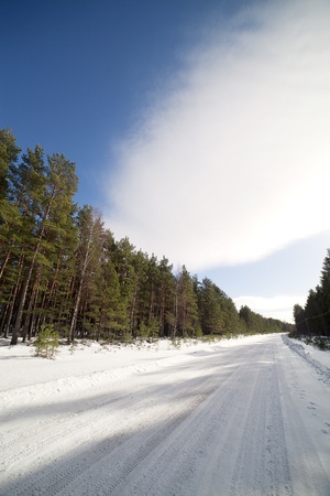 Rural road in winter の写真素材