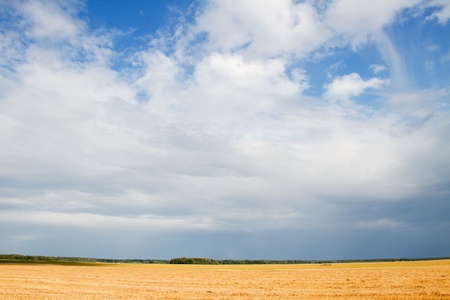 Clouds over field の写真素材