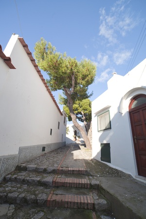 Street in Anacapri, Capri island, Italy の写真素材