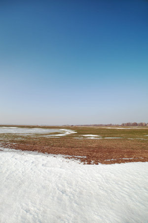 Frozen field in early spring の写真素材