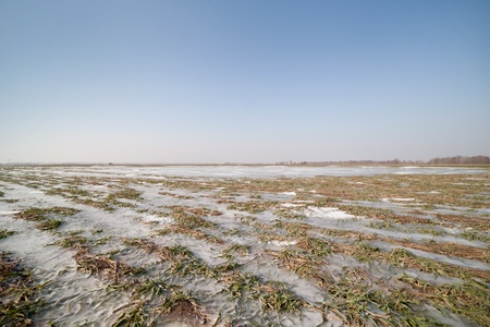 Frozen field in early spring の写真素材