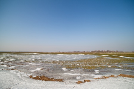 Frozen field in early spring の写真素材