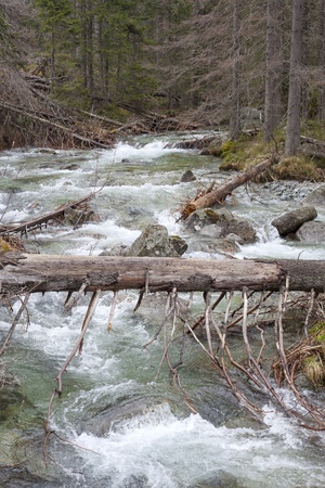 River in High Tatras highland, Slovakia の写真素材