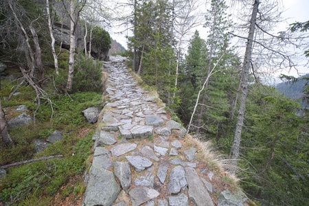 Path in High Tatras , Slovakia の写真素材