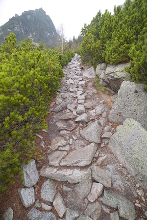 Path in High Tatras , Slovakia の写真素材