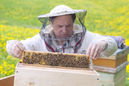 Beekeper and his bees の写真素材