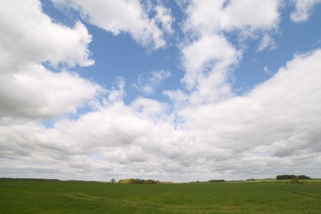 Green land の写真素材