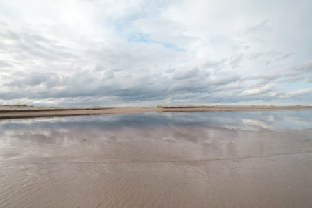 Coast of gulf of Riga, Baltic sea 