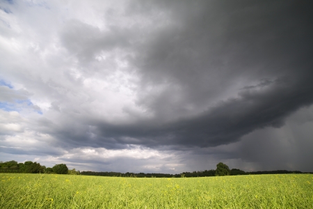 Field and dark clouds の写真素材