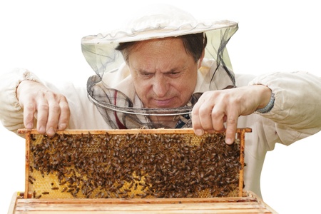 Beekeeper and his bees の写真素材