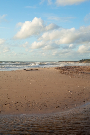 Baltic sea coast, Latvia, Europe の写真素材