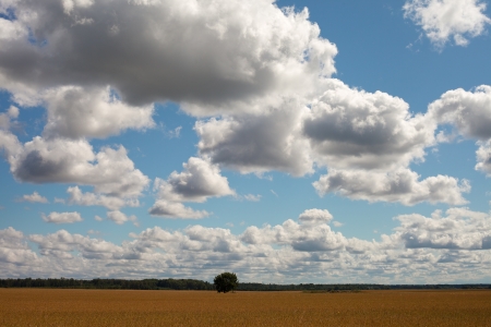 Cloudy sky over land の写真素材
