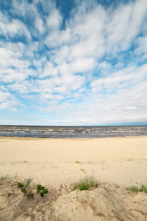 Grass in sand at Baltic sea coast の写真素材