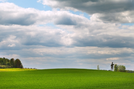 Clouds over green grass の写真素材