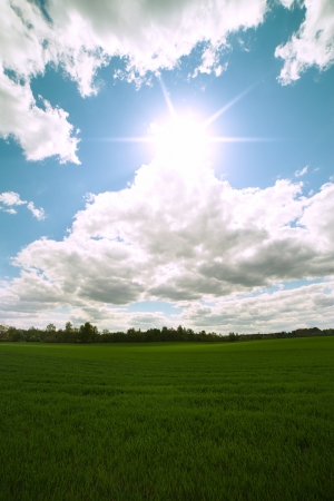 Cloudy sky over green field の写真素材