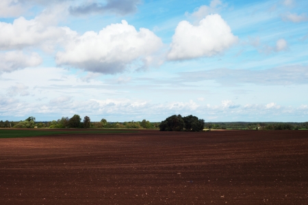 Brown field in the autumn の写真素材