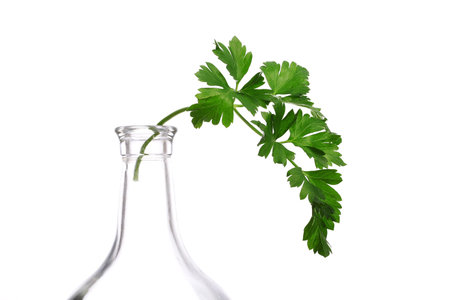 Parsley twig in bottleneck isolated on white の写真素材