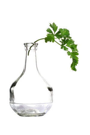 Parsley twig in bottleneck isolated on white の写真素材