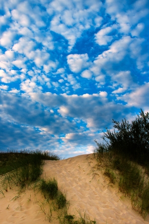 Dunes at Baltic sea coast, Latvia の写真素材