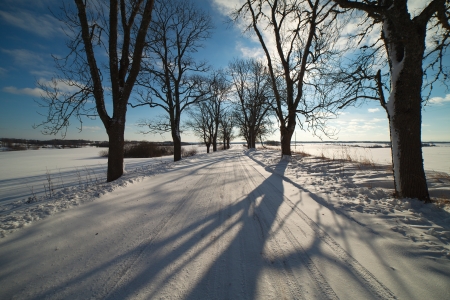 Rural road in winter time, Latvia, Europe の写真素材