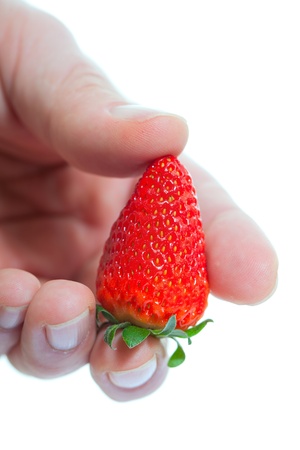 Strawberry in hand on white background の写真素材