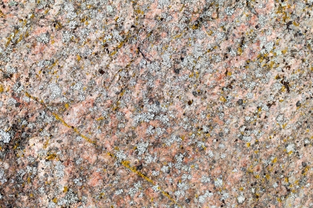 Lichen on granite の写真素材