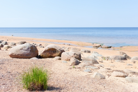 Green grass on beach at Baltic sea の写真素材