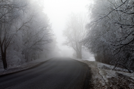 Cold and foggy road in winter time.の写真素材