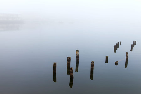 Remains of old pier in foggy morning.の写真素材