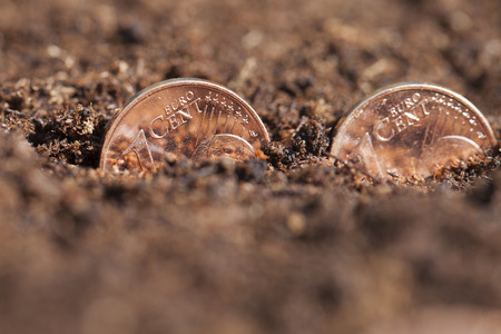 Growing of euro coins.の写真素材