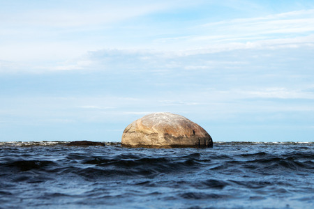Lonely stone in sea water.の写真素材