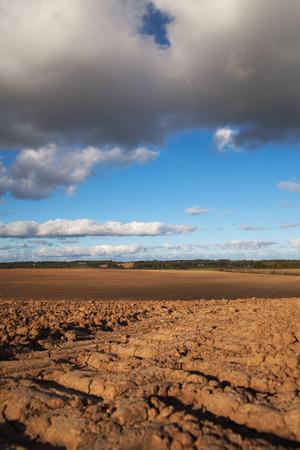 Tire tracks in brown field.の写真素材