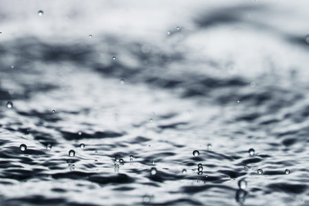 Water surface and rain drops.